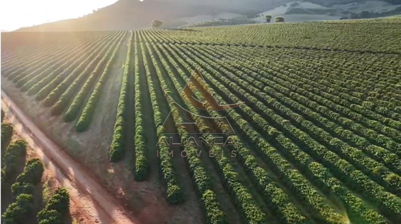 Aliança Imóveis - Imobiliária em Ribeirão Preto - SP - Fazenda  - Zona Rural - Carmo do Rio Claro