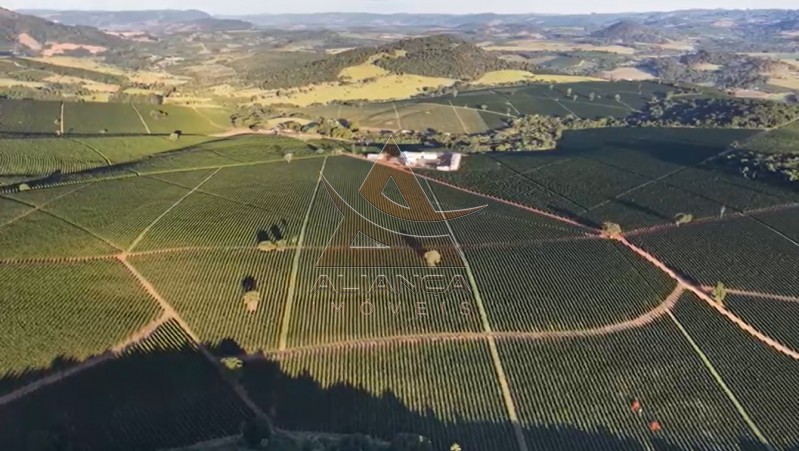 Aliança Imóveis - Imobiliária em Ribeirão Preto - SP - Fazenda  - Zona Rural - Carmo do Rio Claro