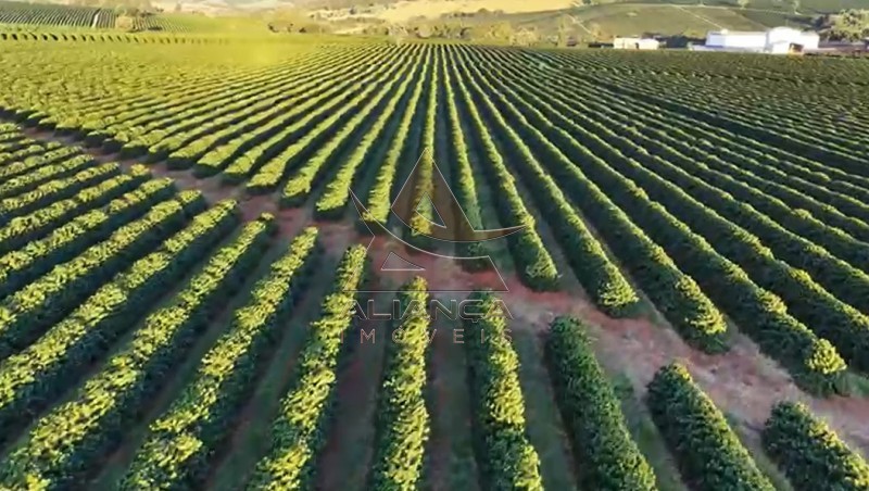Aliança Imóveis - Imobiliária em Ribeirão Preto - SP - Fazenda  - Zona Rural - Carmo do Rio Claro