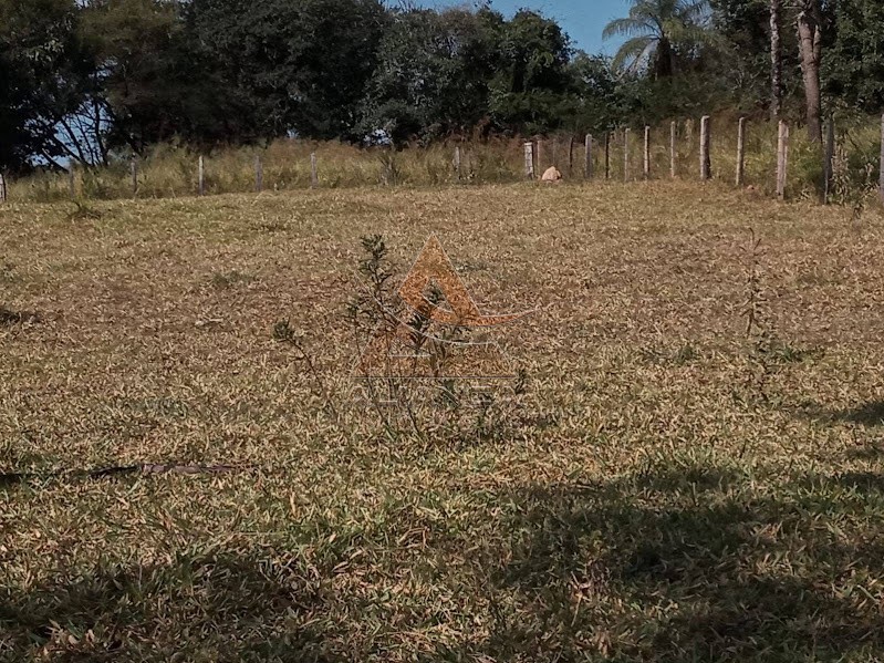 Aliança Imóveis - Imobiliária em Ribeirão Preto - SP - Sítio - Minas Gerais - Itaú de Minas
