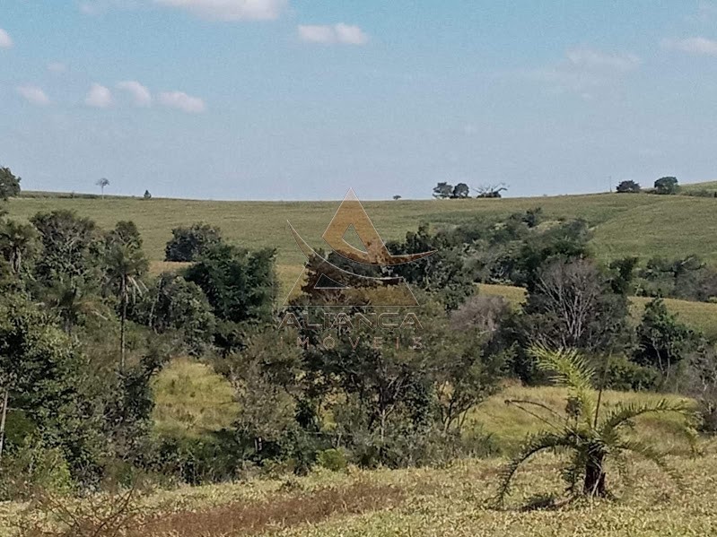 Aliança Imóveis - Imobiliária em Ribeirão Preto - SP - Sítio - Minas Gerais - Itaú de Minas