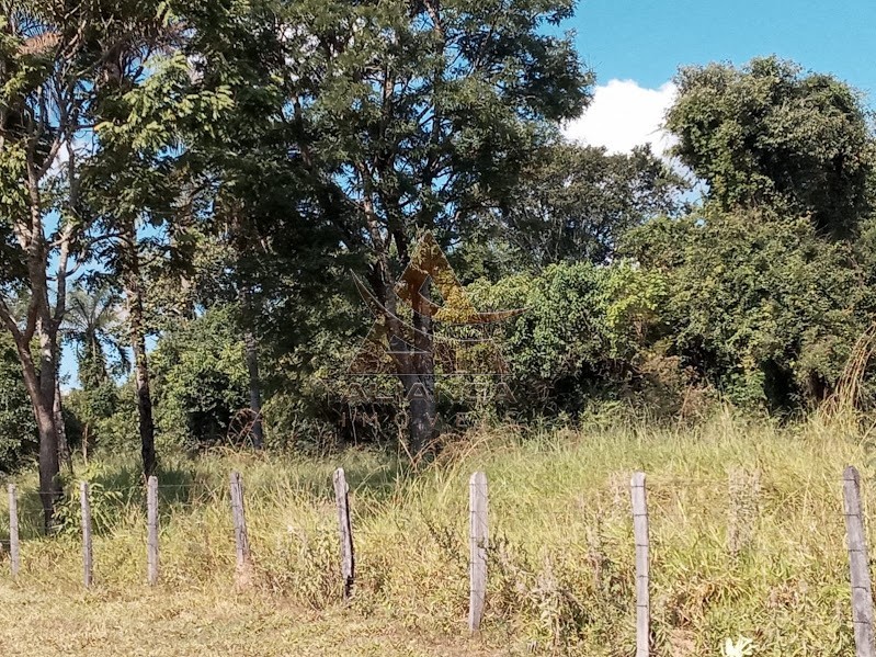 Aliança Imóveis - Imobiliária em Ribeirão Preto - SP - Sítio - Minas Gerais - Itaú de Minas