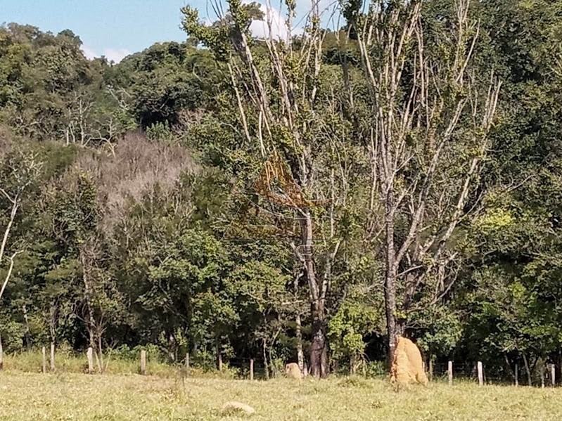 Aliança Imóveis - Imobiliária em Ribeirão Preto - SP - Sítio - Minas Gerais - Itaú de Minas