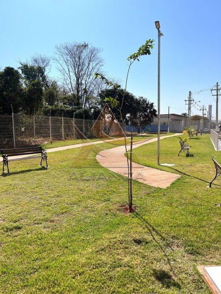 Aliança Imóveis - Imobiliária em Ribeirão Preto - SP - Apartamento - Parque dos Servidores - Ribeirão Preto