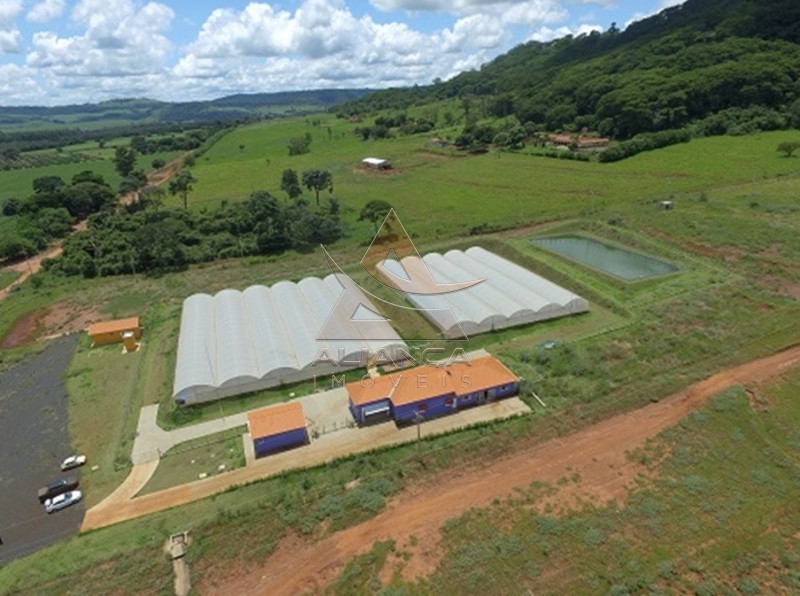 Aliança Imóveis - Imobiliária em Ribeirão Preto - SP - Sítio - São Simão - São Simão