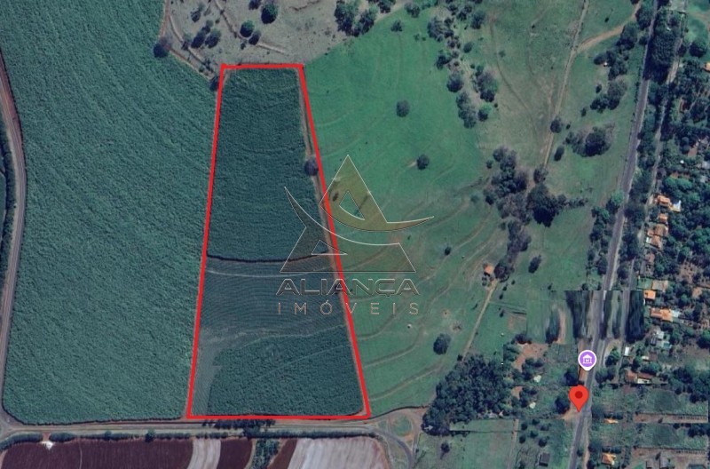 Aliança Imóveis - Imobiliária em Ribeirão Preto - SP - Sítio - Zona Rural - Cravinhos