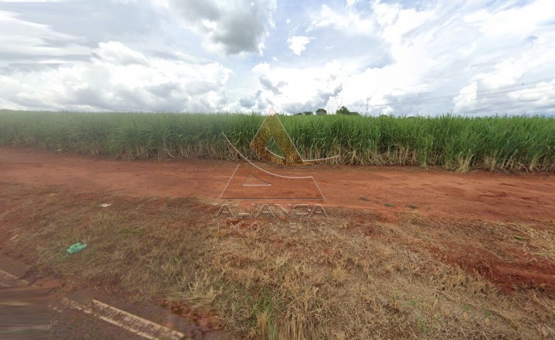 Aliança Imóveis - Imobiliária em Ribeirão Preto - SP - Sítio - Zona Rural - Cravinhos