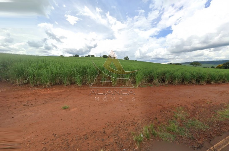 Aliança Imóveis - Imobiliária em Ribeirão Preto - SP - Sítio - Zona Rural - Cravinhos