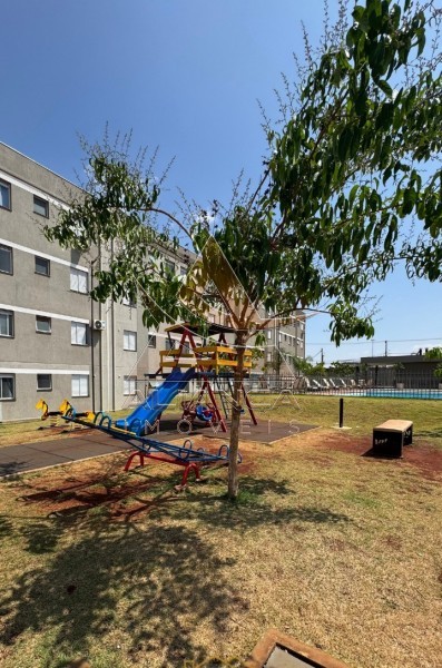 Aliança Imóveis - Imobiliária em Ribeirão Preto - SP - Apartamento - Pedro Correa de Carvalho - Ribeirão Preto