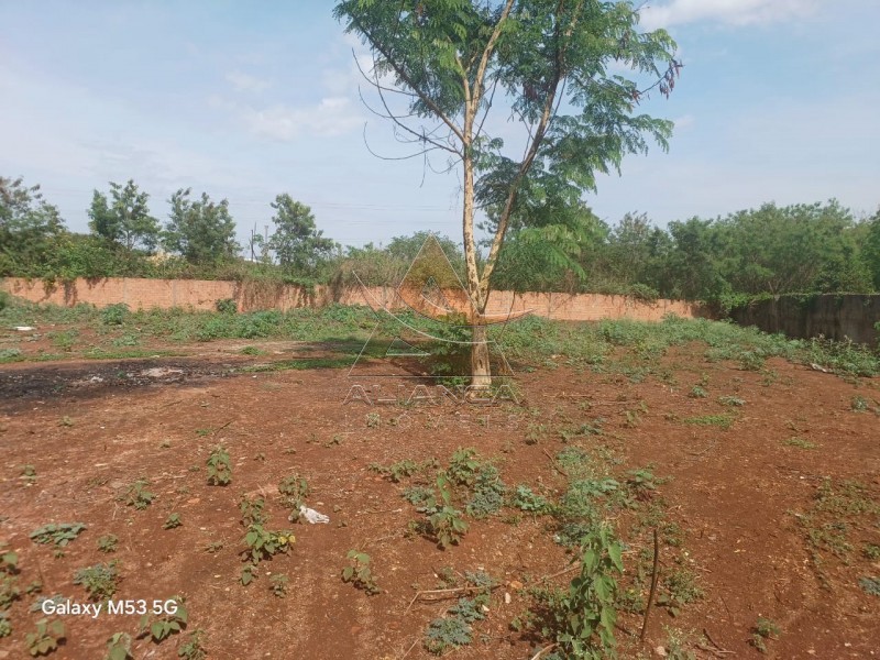 Aliança Imóveis - Imobiliária em Ribeirão Preto - SP - Terreno - Recanto Princesa Isabel - Ribeirão Preto