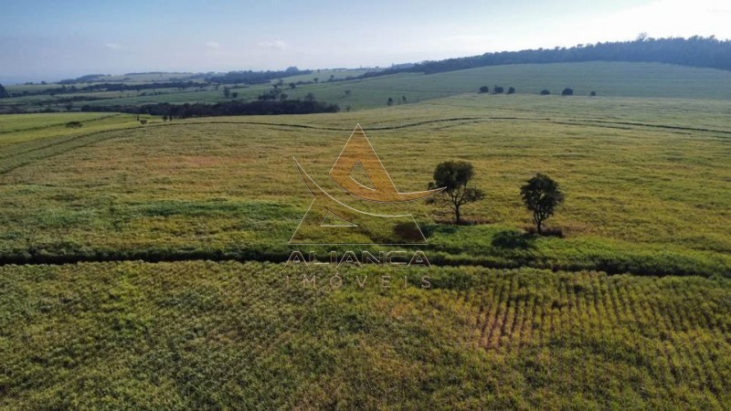 Aliança Imóveis - Imobiliária em Ribeirão Preto - SP - Fazenda  - Zona Rural - Tambaú