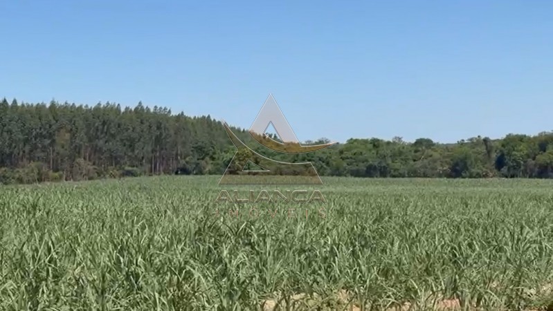 Aliança Imóveis - Imobiliária em Ribeirão Preto - SP - Fazenda  - Zona Rural - Tambaú
