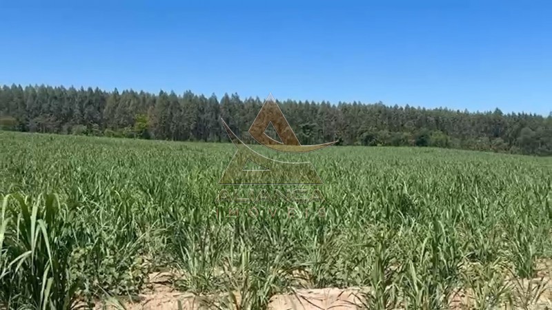 Aliança Imóveis - Imobiliária em Ribeirão Preto - SP - Fazenda  - Zona Rural - Tambaú