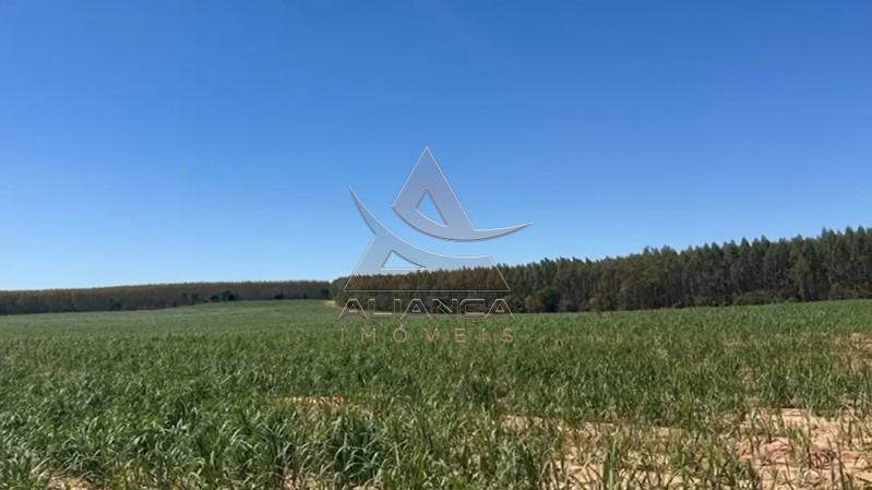 Aliança Imóveis - Imobiliária em Ribeirão Preto - SP - Fazenda  - Zona Rural - Tambaú