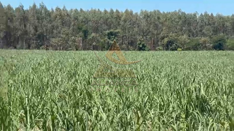 Aliança Imóveis - Imobiliária em Ribeirão Preto - SP - Fazenda  - Zona Rural - Tambaú