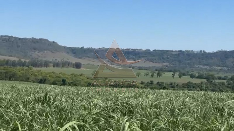 Aliança Imóveis - Imobiliária em Ribeirão Preto - SP - Fazenda  - Zona Rural - Tambaú