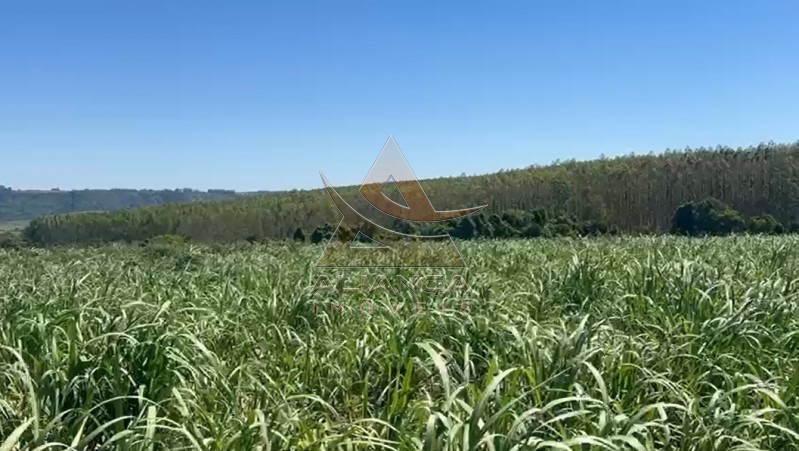 Aliança Imóveis - Imobiliária em Ribeirão Preto - SP - Fazenda  - Zona Rural - Tambaú