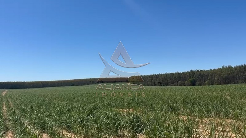 Aliança Imóveis - Imobiliária em Ribeirão Preto - SP - Fazenda  - Zona Rural - Tambaú