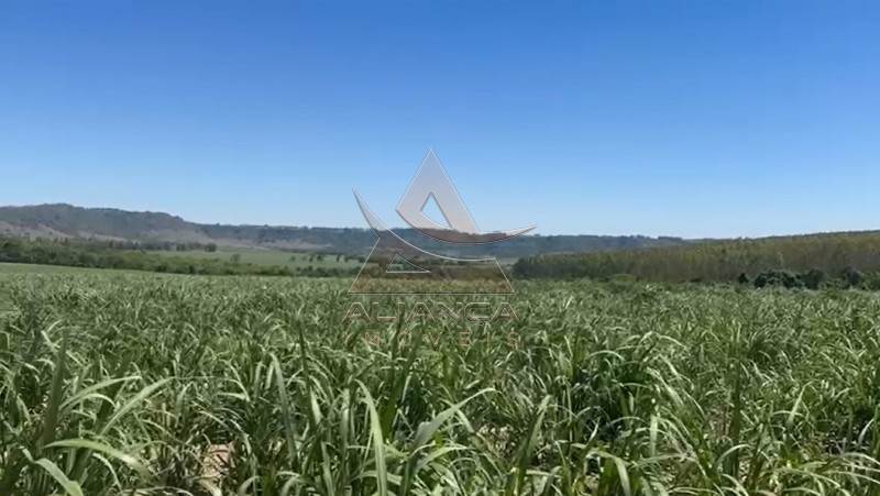 Aliança Imóveis - Imobiliária em Ribeirão Preto - SP - Fazenda  - Zona Rural - Tambaú