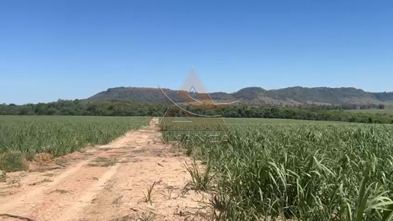 Aliança Imóveis - Imobiliária em Ribeirão Preto - SP - Fazenda  - Zona Rural - Tambaú