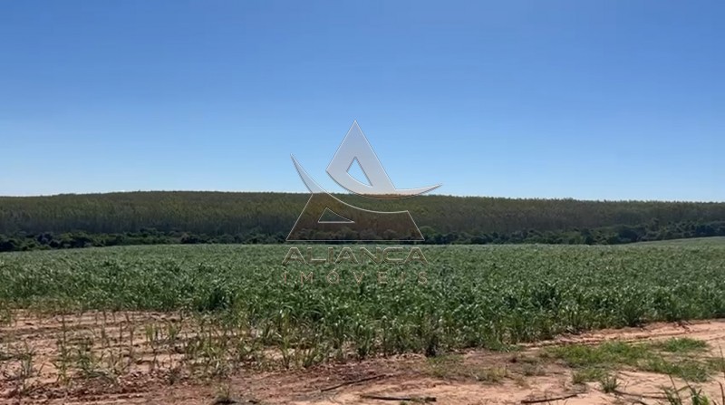 Aliança Imóveis - Imobiliária em Ribeirão Preto - SP - Fazenda  - Zona Rural - Tambaú