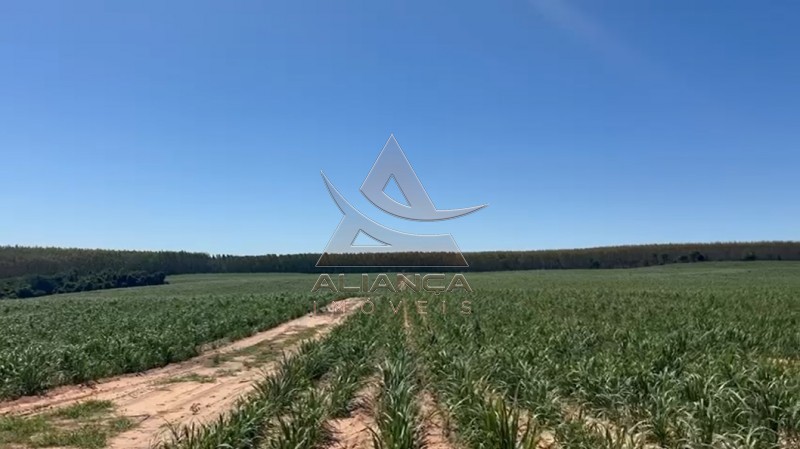 Aliança Imóveis - Imobiliária em Ribeirão Preto - SP - Fazenda  - Zona Rural - Tambaú