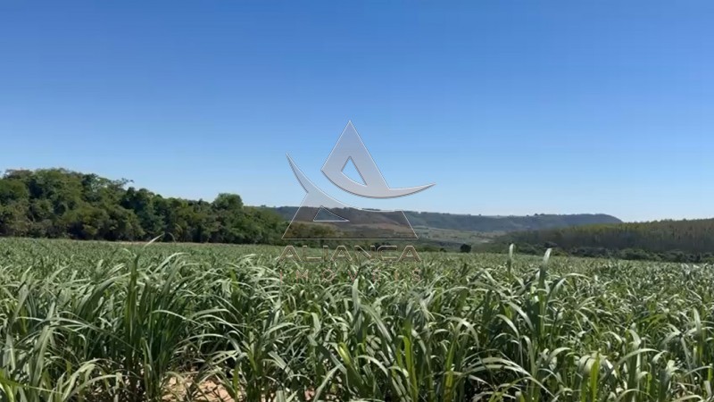 Aliança Imóveis - Imobiliária em Ribeirão Preto - SP - Fazenda  - Zona Rural - Tambaú