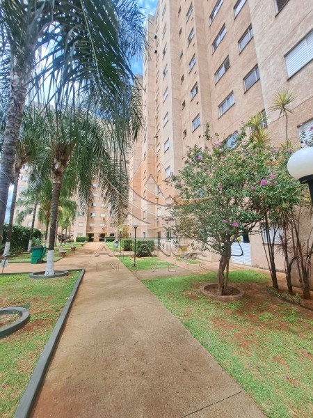 Aliança Imóveis - Imobiliária em Ribeirão Preto - SP - Apartamento - Campos Eliseos - Ribeirão Preto