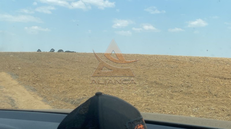 Aliança Imóveis - Imobiliária em Ribeirão Preto - SP - Fazenda  - Zona Rural - São João da Mata