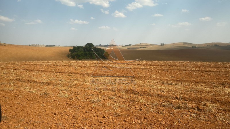 Aliança Imóveis - Imobiliária em Ribeirão Preto - SP - Fazenda  - Zona Rural - São João da Mata