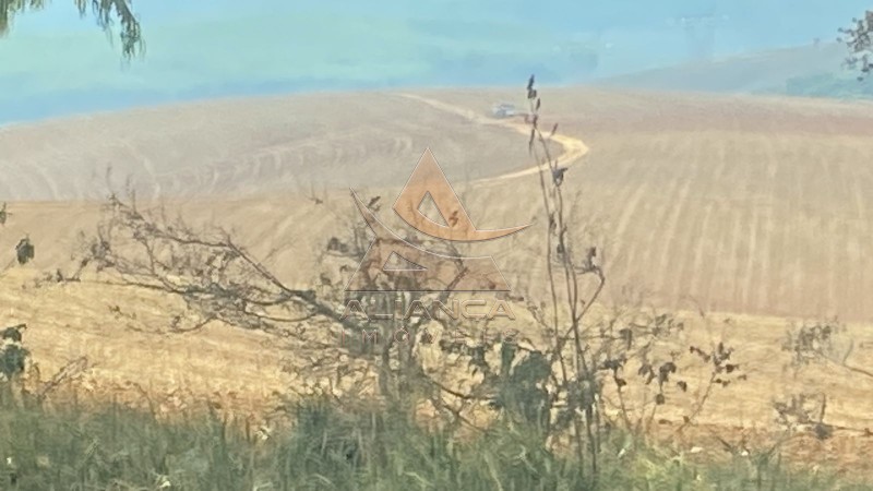 Aliança Imóveis - Imobiliária em Ribeirão Preto - SP - Fazenda  - Zona Rural - São João da Mata