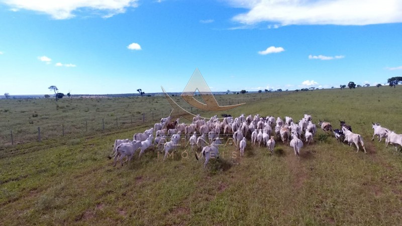 Aliança Imóveis - Imobiliária em Ribeirão Preto - SP - Fazenda  - Zona Rural - Campo Grande 