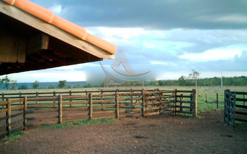 Aliança Imóveis - Imobiliária em Ribeirão Preto - SP - Fazenda  - Zona Rural - Campo Grande 