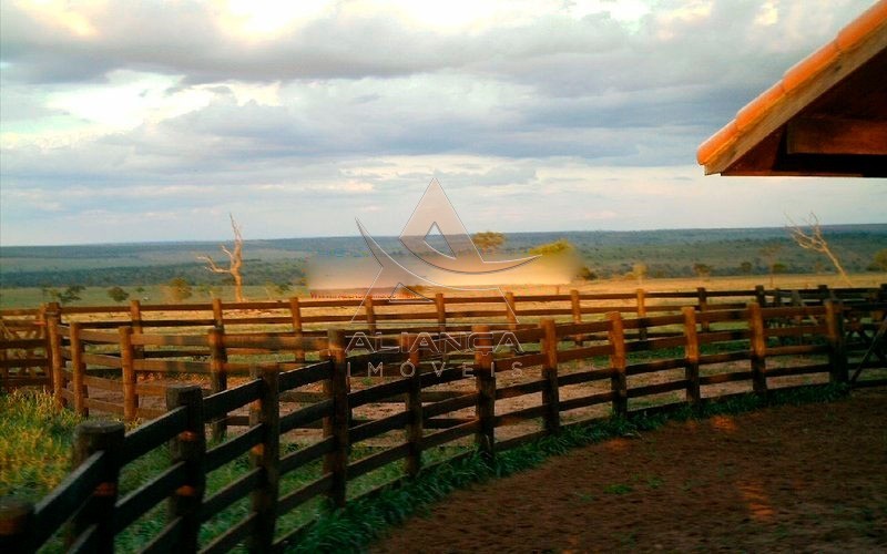 Aliança Imóveis - Imobiliária em Ribeirão Preto - SP - Fazenda  - Zona Rural - Campo Grande 
