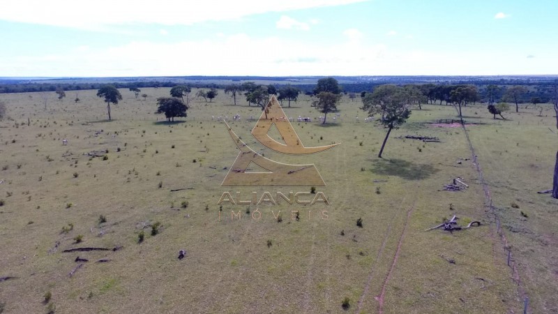 Aliança Imóveis - Imobiliária em Ribeirão Preto - SP - Fazenda  - Zona Rural - Campo Grande 