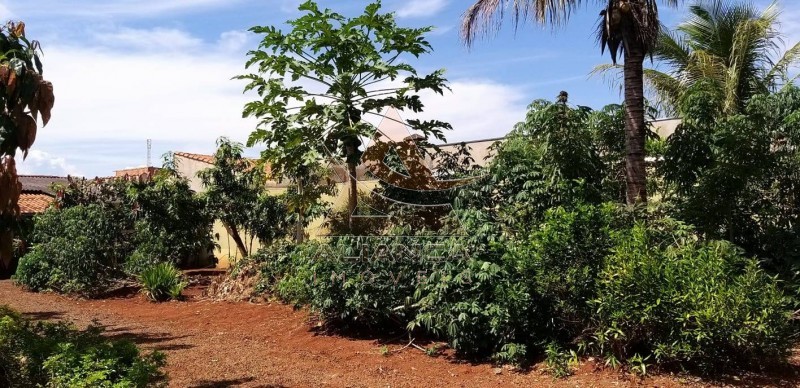 Aliança Imóveis - Imobiliária em Ribeirão Preto - SP - Terreno - Jardim Jandaia - Ribeirão Preto