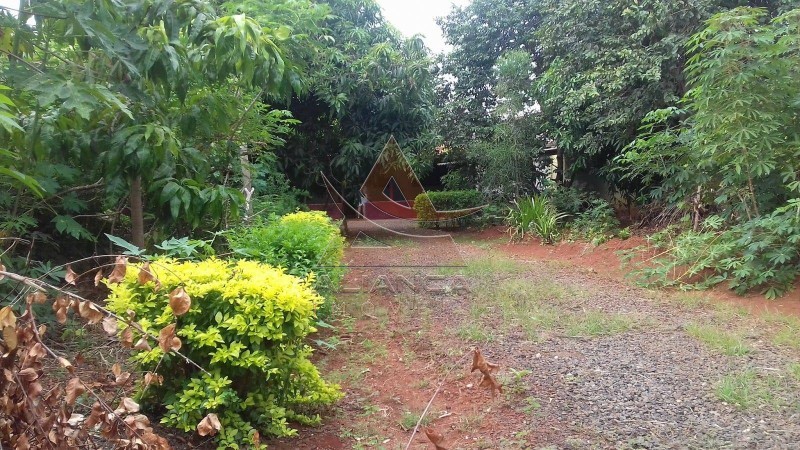 Aliança Imóveis - Imobiliária em Ribeirão Preto - SP - Terreno - Jardim Jandaia - Ribeirão Preto