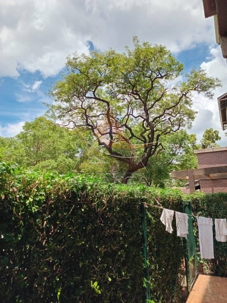 Aliança Imóveis - Imobiliária em Ribeirão Preto - SP - Apartamento - São José - Ribeirão Preto