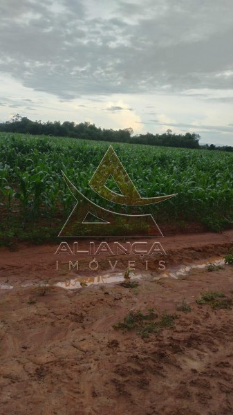 Aliança Imóveis - Imobiliária em Ribeirão Preto - SP - Fazenda  - Zona Rural - Peixe