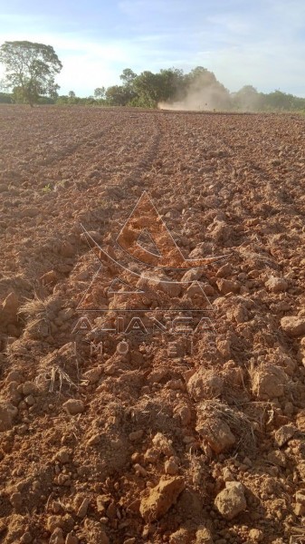 Aliança Imóveis - Imobiliária em Ribeirão Preto - SP - Fazenda  - Zona Rural - Peixe