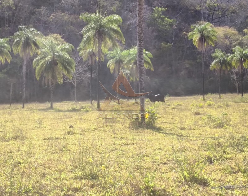 Aliança Imóveis - Imobiliária em Ribeirão Preto - SP - Fazenda  - Zona Rural - Natividade