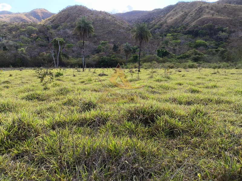 Fazenda, 3872 hectares - Foto 1