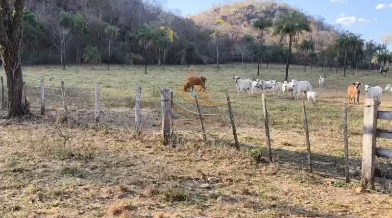 Fazenda, 3872 hectares - Foto 2