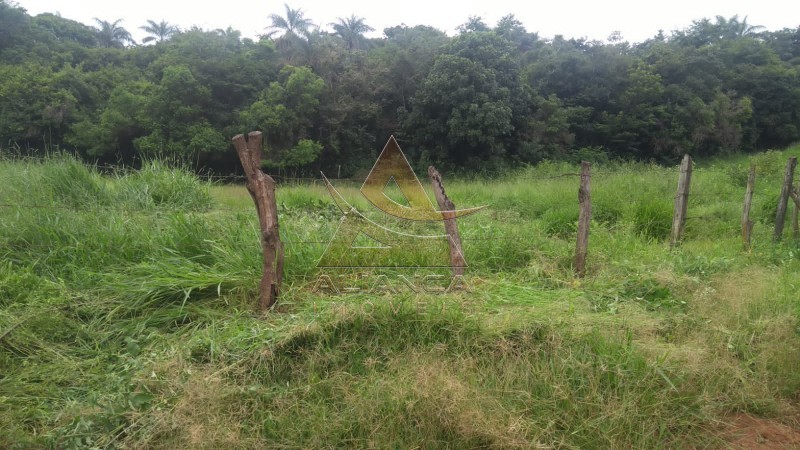 Aliança Imóveis - Imobiliária em Ribeirão Preto - SP - Sítio - Zona Rural  - São Sebastião do Paraíso 