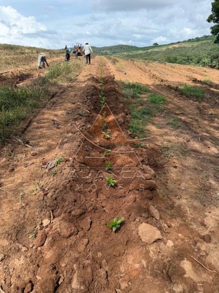 Aliança Imóveis - Imobiliária em Ribeirão Preto - SP - Fazenda  - Zona Rural - Guapé