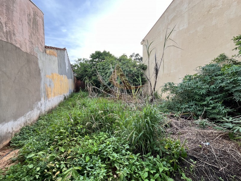 Terreno - Parque dos Servidores - Ribeirão Preto