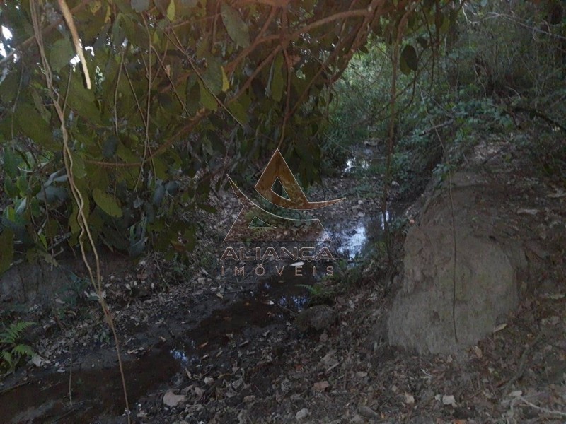 Aliança Imóveis - Imobiliária em Ribeirão Preto - SP - Sítio - Zona Rural - Cássia