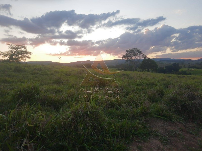 Aliança Imóveis - Imobiliária em Ribeirão Preto - SP - Sítio - Zona Rural - Cássia