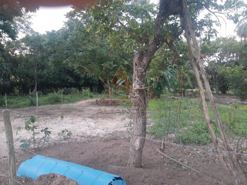 Aliança Imóveis - Imobiliária em Ribeirão Preto - SP - Sítio - Zona Rural - Cássia