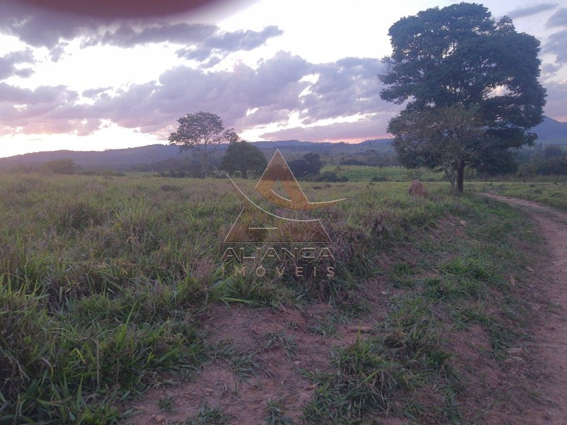 Aliança Imóveis - Imobiliária em Ribeirão Preto - SP - Sítio - Zona Rural - Cássia